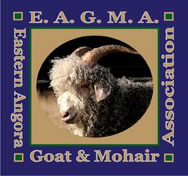 EAGMA_logo